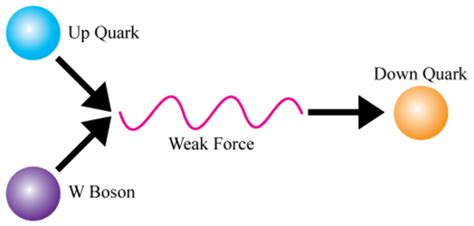 CK12-Foundation