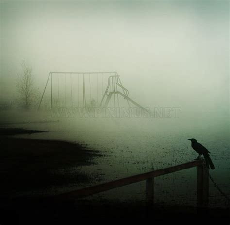 Fog Photography, part 2 | Art