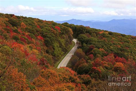 Cherohala Skyway in the Fall Photograph by Jill Lang