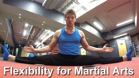 Flexibility for Martial Arts (HIGH KICKS/SPLITS) & Flexibility ...