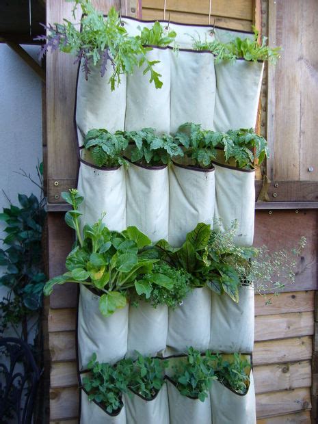 Vertical Vegetable Garden Pictures, Photos, and Images for Facebook, Tumblr, Pinterest, and Twitter