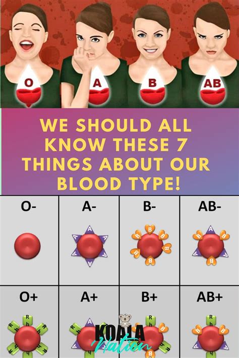 We Should All Know These 7 Things About Our Blood Type! – Koalanation ...