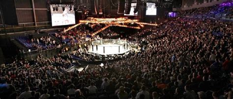 BAMMA CEO promises “milestone event” ahead of promotion’s return to Dublin