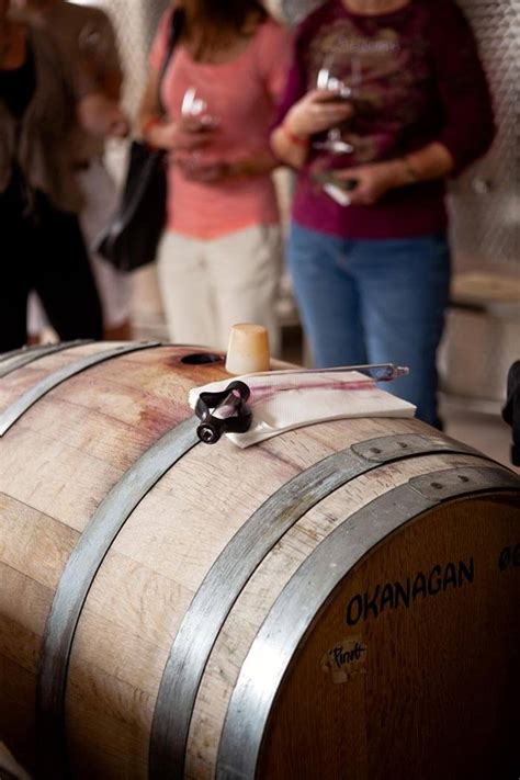 Sonoma & Napa Valley Wine Tours - California Wine Tours