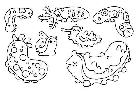 17 Sea Cucumber Coloring Pages - ColoringPagesOnly.com