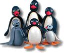 Pingu Family