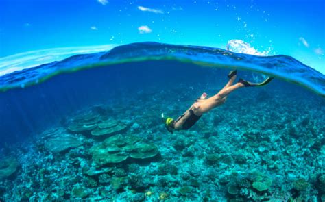 Aktiviti Di Pulau Tioman - SantiagoewaCarey