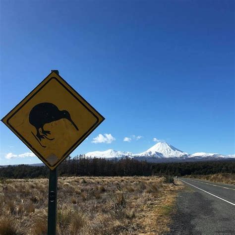 Tongariro Alpine Crossing - Hiking Trail