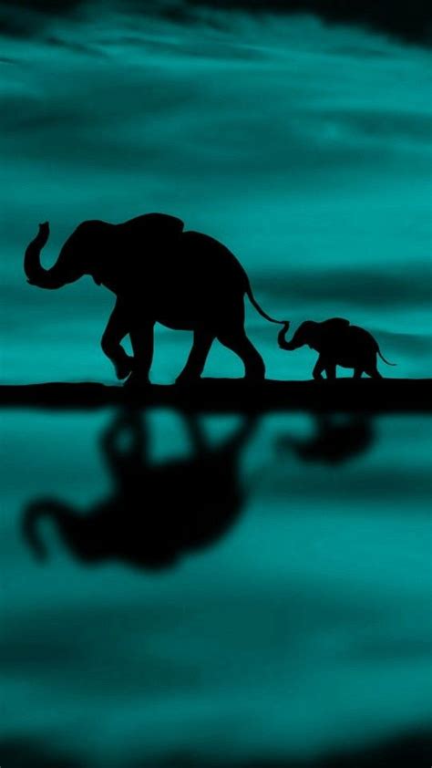 Elephant wallpaper | Elephant wallpaper, Elephant images, Elephant pictures