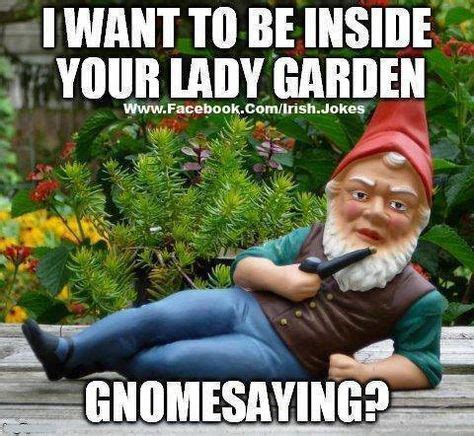 164 best Gnome Memes: Funny Gnomes images on Pinterest | Funny gnomes ...