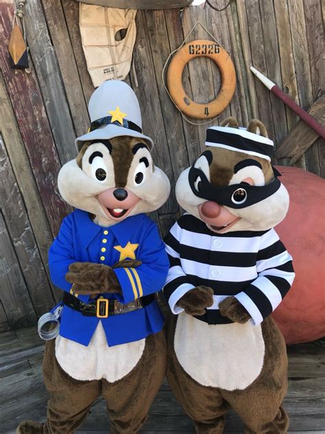 Chip & Dale - Copy and robber Halloween costumes | Disney halloween ...