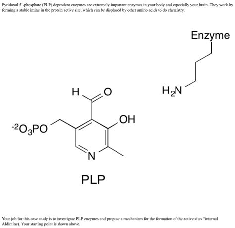 Solved Pyridoxal 5'-phosphate (PLP) dependent enzymes are | Chegg.com