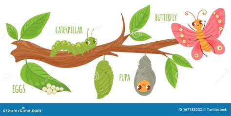 Pupa Cartoons, Illustrations & Vector Stock Images - 2958 Pictures to download from ...