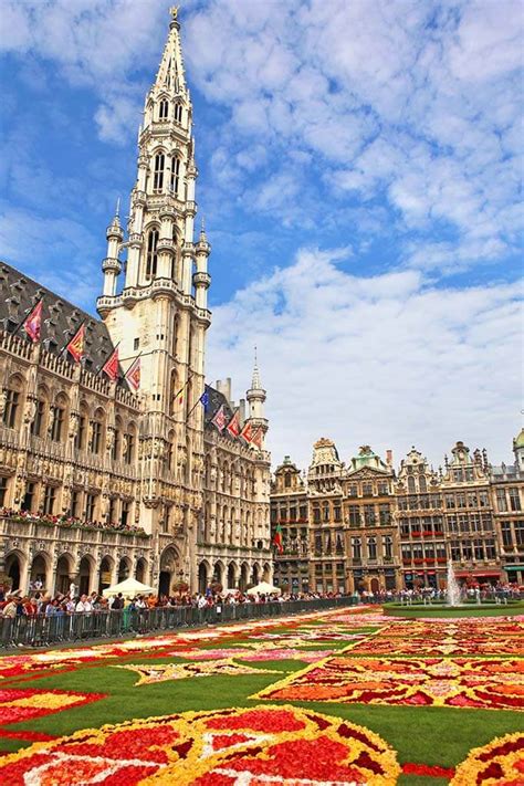 Brussels Flower Carpet: Ultimate Guide, 2024 Dates & Tips for Your Visit