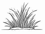 Grass Coloring For Kids  Page sketch template