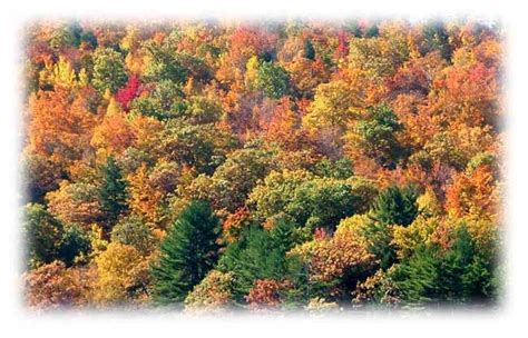 Fall Foliage and Leaf Peeping Around Lake Winnipesaukee in New Hampshire