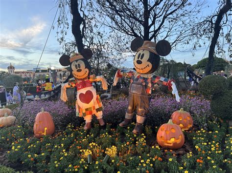 PHOTOS: 40th Anniversary Pumpkins, Tinker Bell in a Witch Costume, and More Decorations Go Up ...