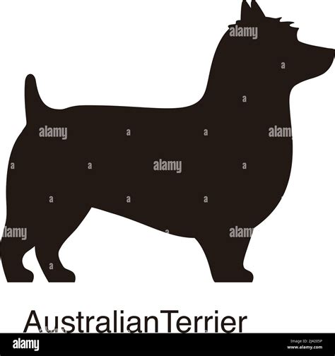 Australian Terrier dog silhouette, side view, vector illustration Stock ...