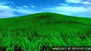 Grass GIFs - Find & Share on GIPHY