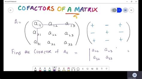 MATRICES | PART 10 | COFACTORS OF A MATRIX | PURE MATH| CAPE UNIT2 MOD ...