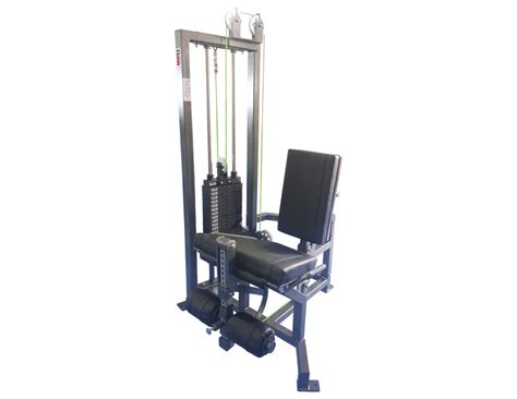 Leg Extension Machines | Ensayo Gym Equipment, Inc.