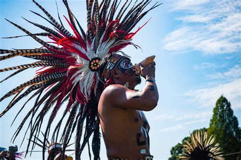 Traditional Aztec dance honors the great fallen ‘Charter Oak’ at ...