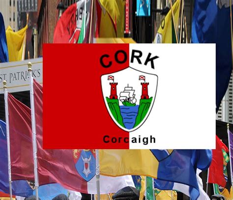 County Cork Ireland Crest Flag ~ 5 X 3 ft