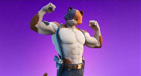 Fortnite fans are cosplaying as Meowscles using real cats - SlashGear