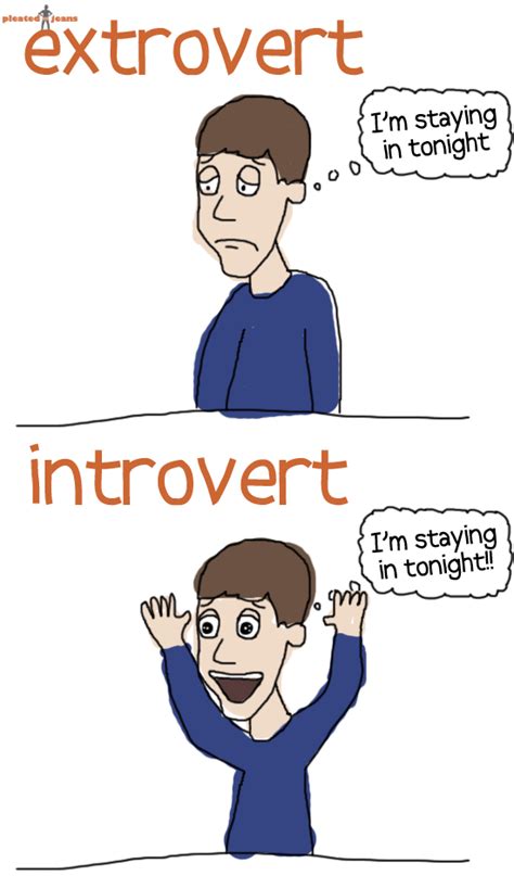 introvert vs extrovert | the space between