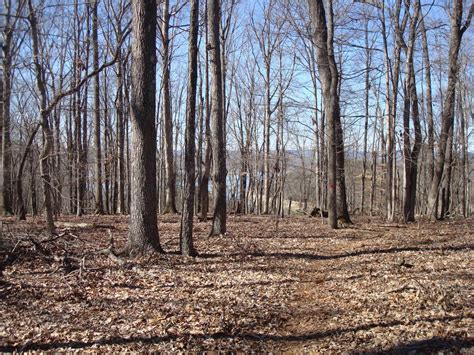 Panther Creek State Park Mountain Bike Trail in Morristown, Tennessee || SINGLETRACKS.COM