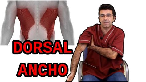 Musculo Dorsal Ancho, valoración y correccion. YouTube