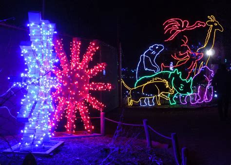 SoutheastAlaskan - Denver Zoo Lights