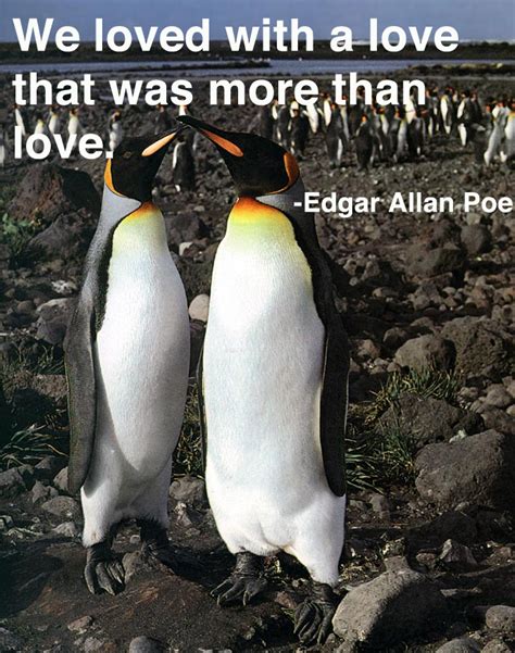 Cute Penguin Quotes. QuotesGram