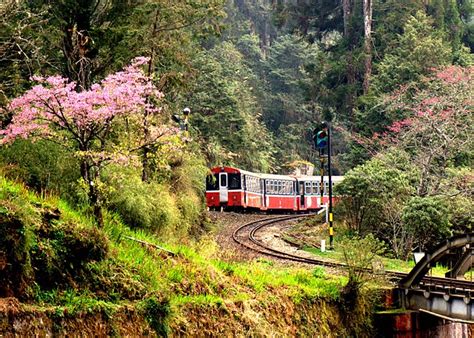 Alishan Forest Railway, Taiwan | Alishan Forest Railway was … | Flickr