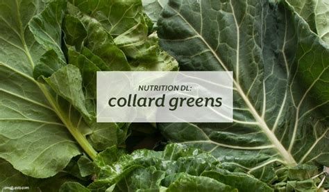 Nutrition DL: Collard Greens – small eats