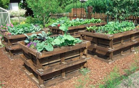 Are Wooden Pallets Safe To Use In The Garden? - Gardeninguru