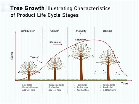 Tree Life Cycle