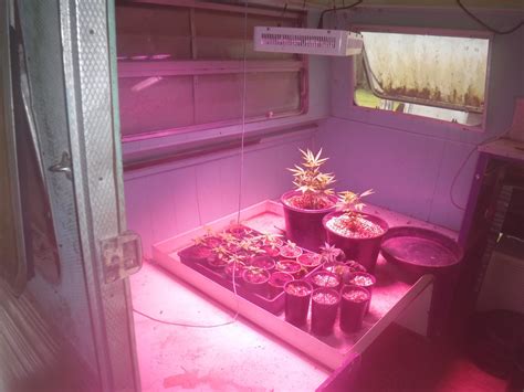 Hydroponics grow rooms located in Julatten - Far North