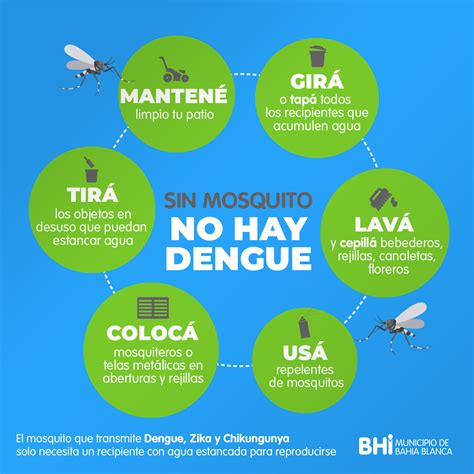 Sugerencias para evitar el Dengue | Prensa Bahía