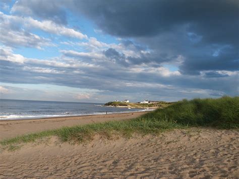 Seaton Sluice Beach | Co-Curate