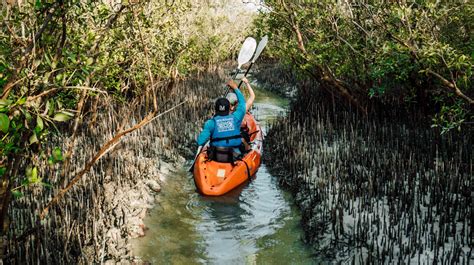 Kayaking | Water Sports and Activities | Experience Abu Dhabi