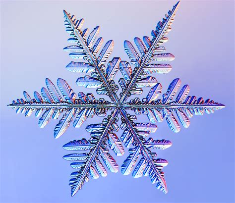 Snowflake Photographs - SnowCrystals.com