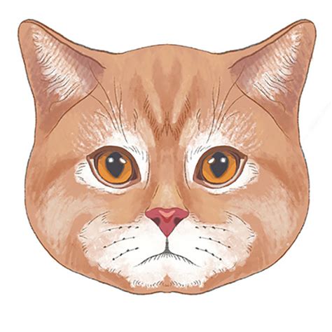 How to Draw a Realistic Cat Face - Easy Drawing Tutorial For Kids