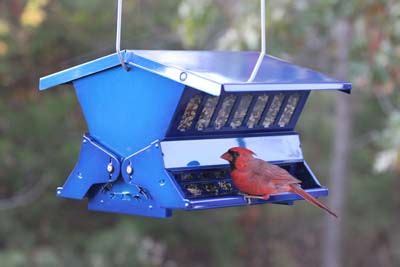 Roof locks securely to keep squirrels out of hopper. Includes hanger ...