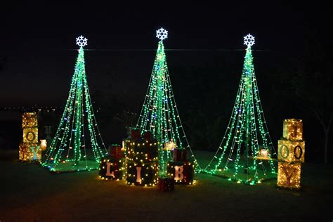 Lights in Bloom at Selby Gardens