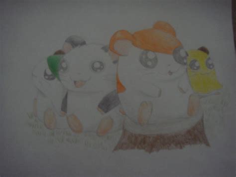 HAMTARO by pikirby777 on DeviantArt