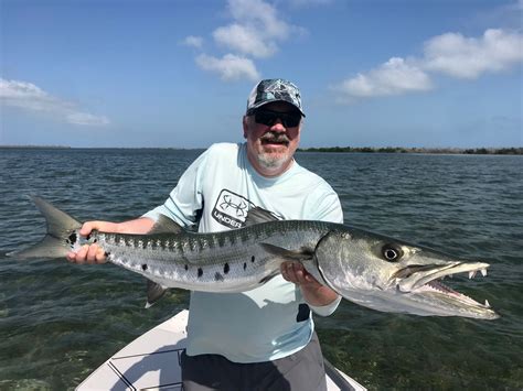 48” Barracuda - March 2020 | Hunting fishing, Fish, Florida