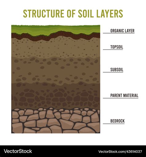 Soil layers cartoon geology ground structure Vector Image