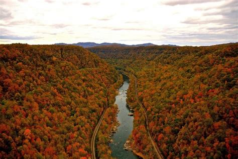 New River Gorge West Virginia Fall Foliage - Photorator