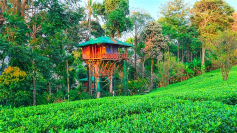 7 Best Resorts In Kerala | Unique & Interesting Staycation Deals